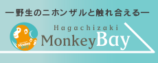 波勝崎モンキーベイ