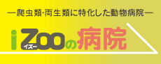 爬虫類・両生類に特化したiZooiの病院